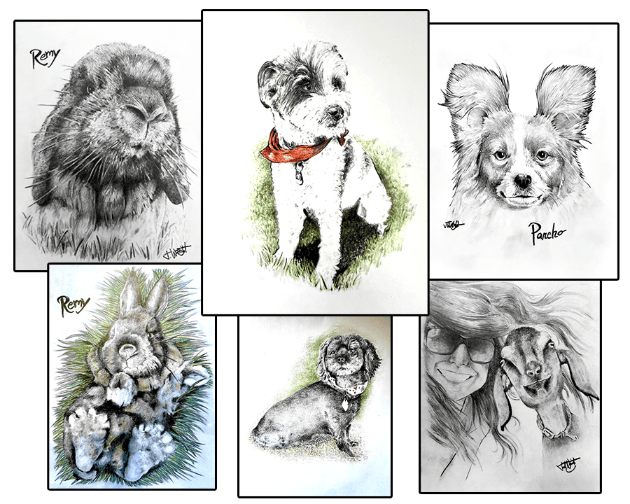 Pet Portraits 