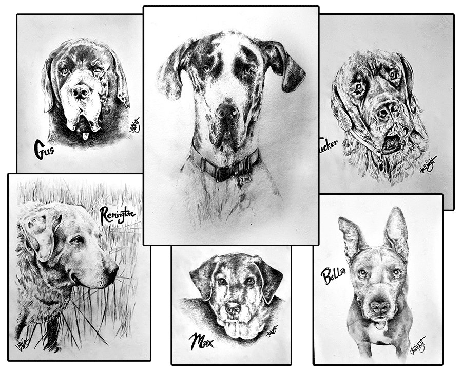 Pet Portraits 